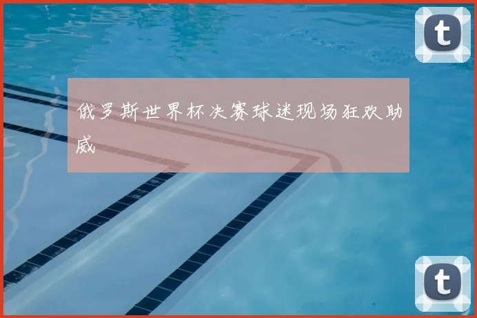 俄罗斯世界杯决赛球迷现场狂欢助威