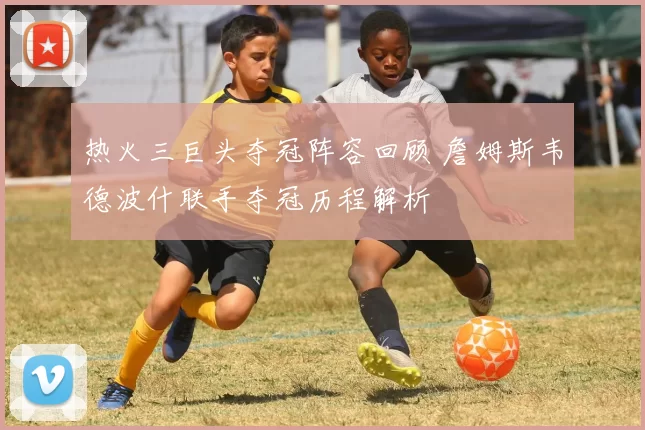 热火三巨头夺冠阵容回顾 詹姆斯韦德波什联手夺冠历程解析